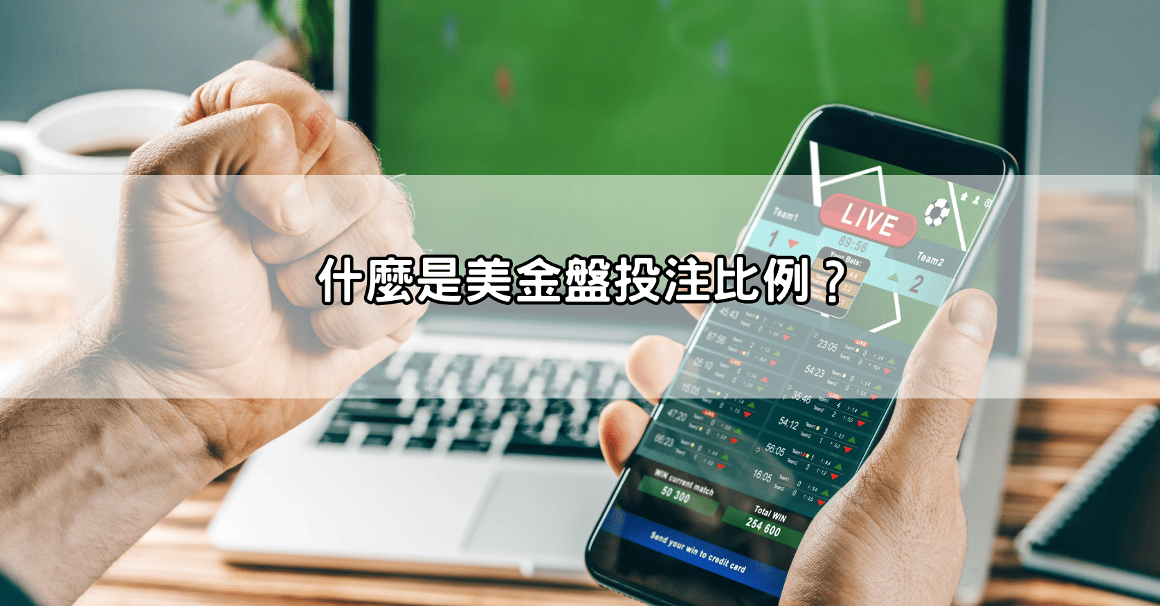 什麼是美金盤投注比例？